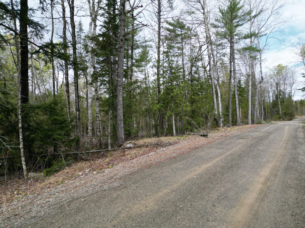 Photo of 8 Twin Springs Lane, Lincoln, ME 04457 (MLS # 1665194)