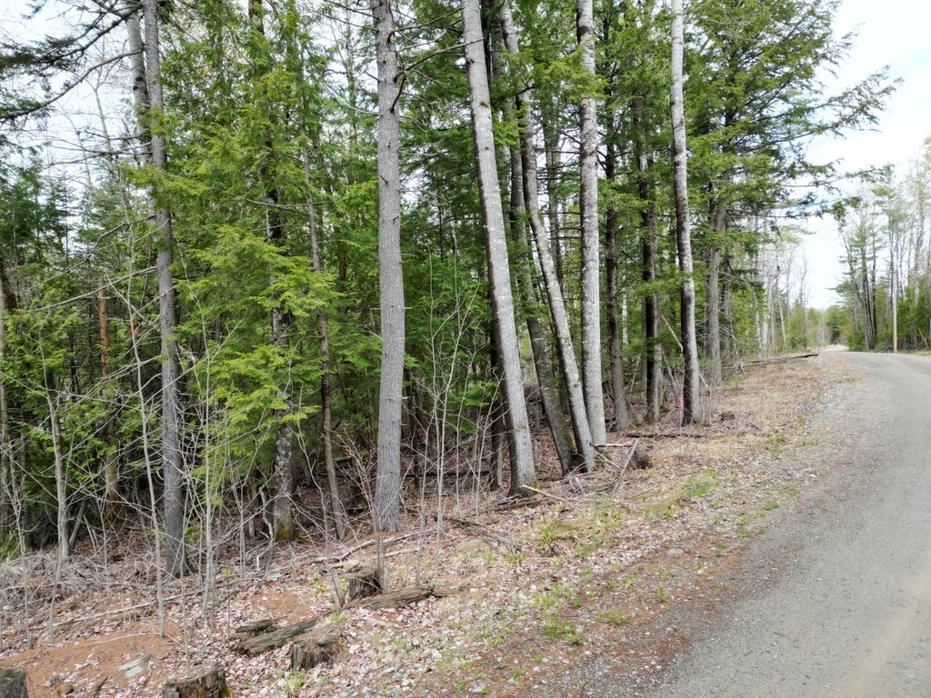Photo of 8 Twin Springs Lane, Lincoln, ME 04457 (MLS # 1665194)