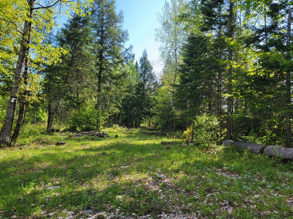 Photo of 67 Bog Brook Road, China, ME 04358 (MLS # 1666967)