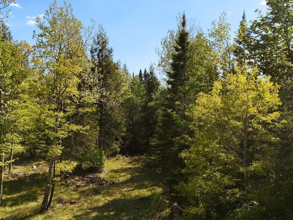 Photo of 67 Bog Brook Road, China, ME 04358 (MLS # 1666967)