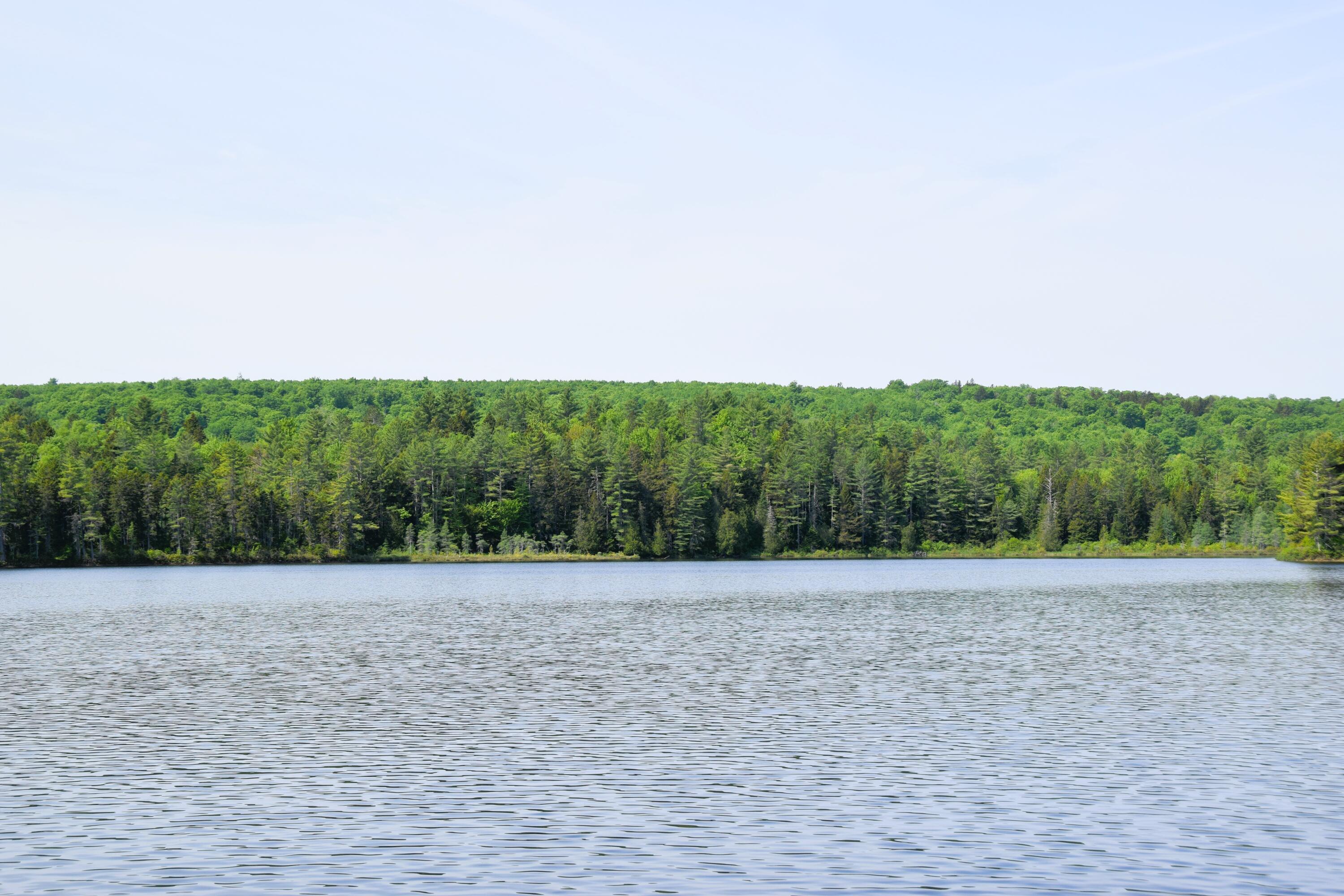 MS03 Middle Carry Pond