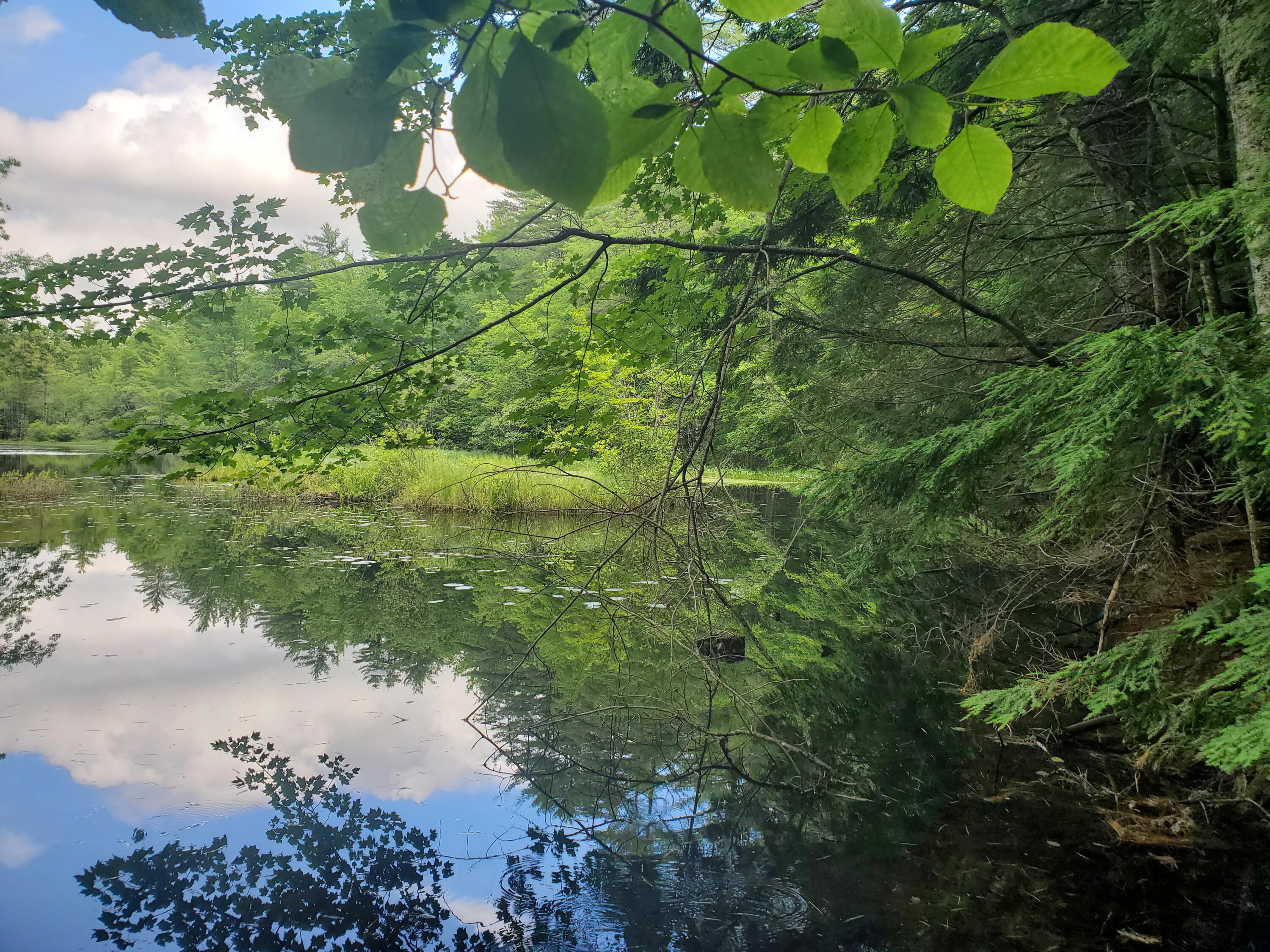 Lot #36 Beaver Brook Road