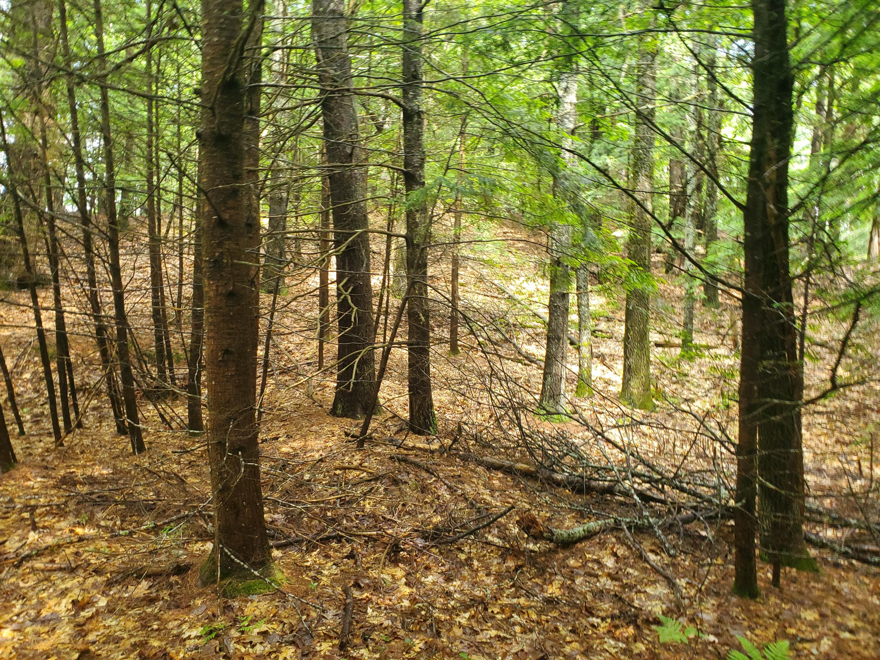 Lot #36 Beaver Brook Road