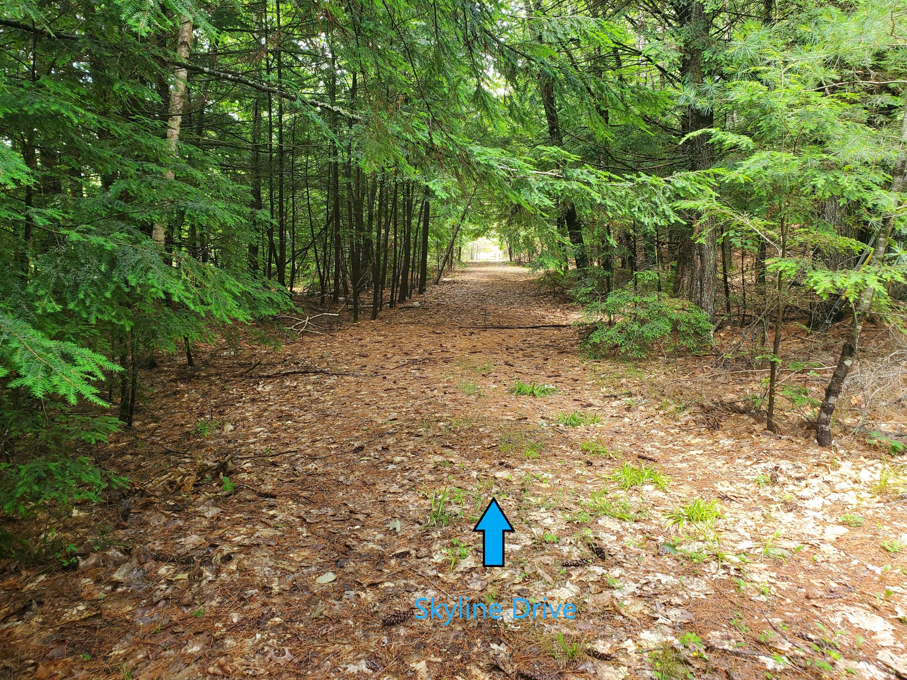 Lot #36 Beaver Brook Road