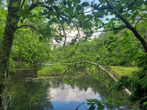 Photo of Lot #36 Beaver Brook Road, Limerick, ME 04048 (MLS # 1669221)
