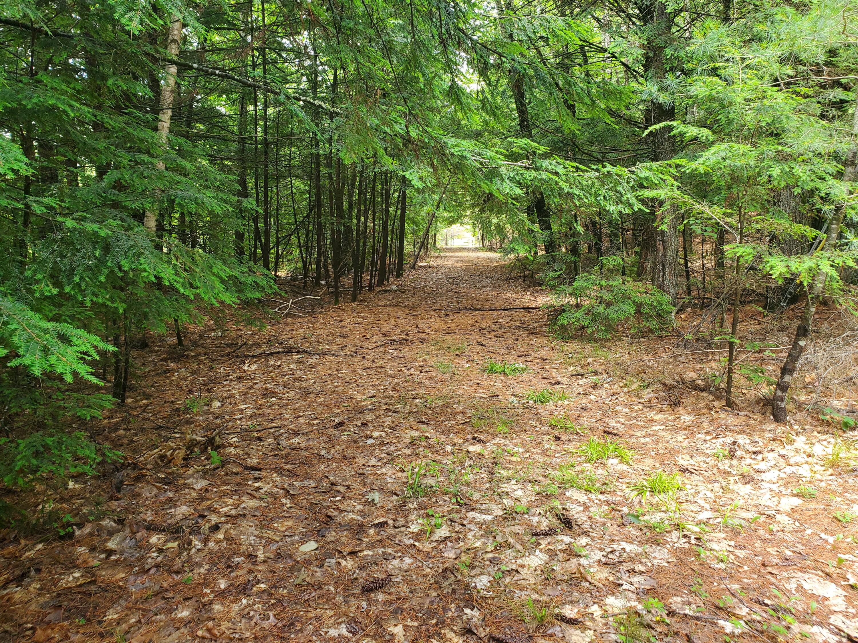 Lot #36 Beaver Brook Road