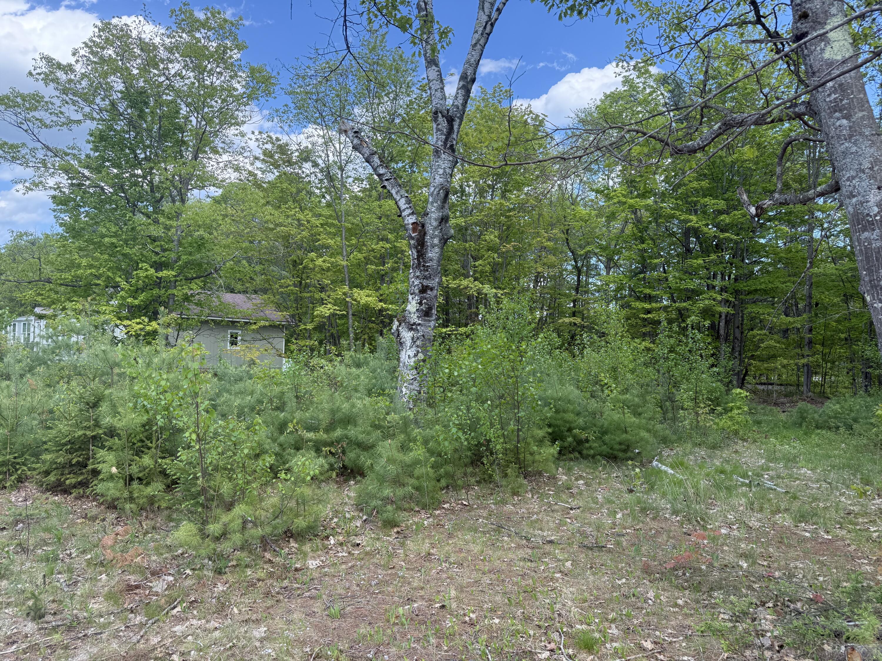 190 Barker Road