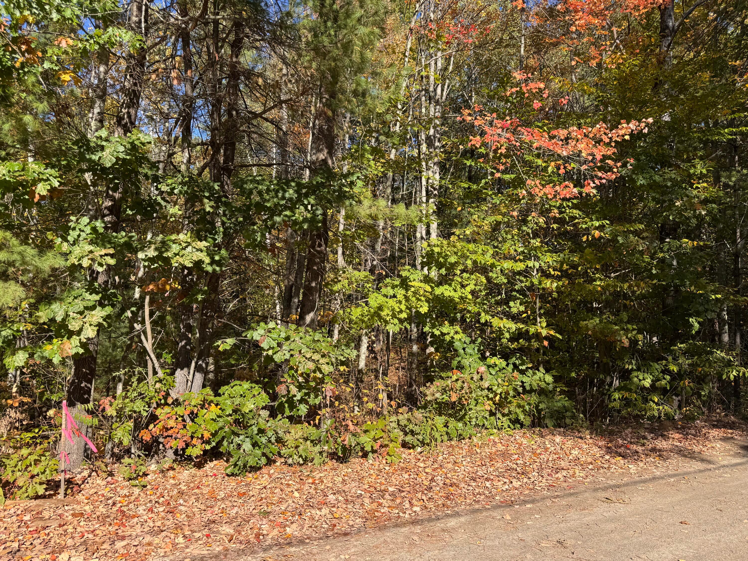 Lot 2 Shaw Brook Lane