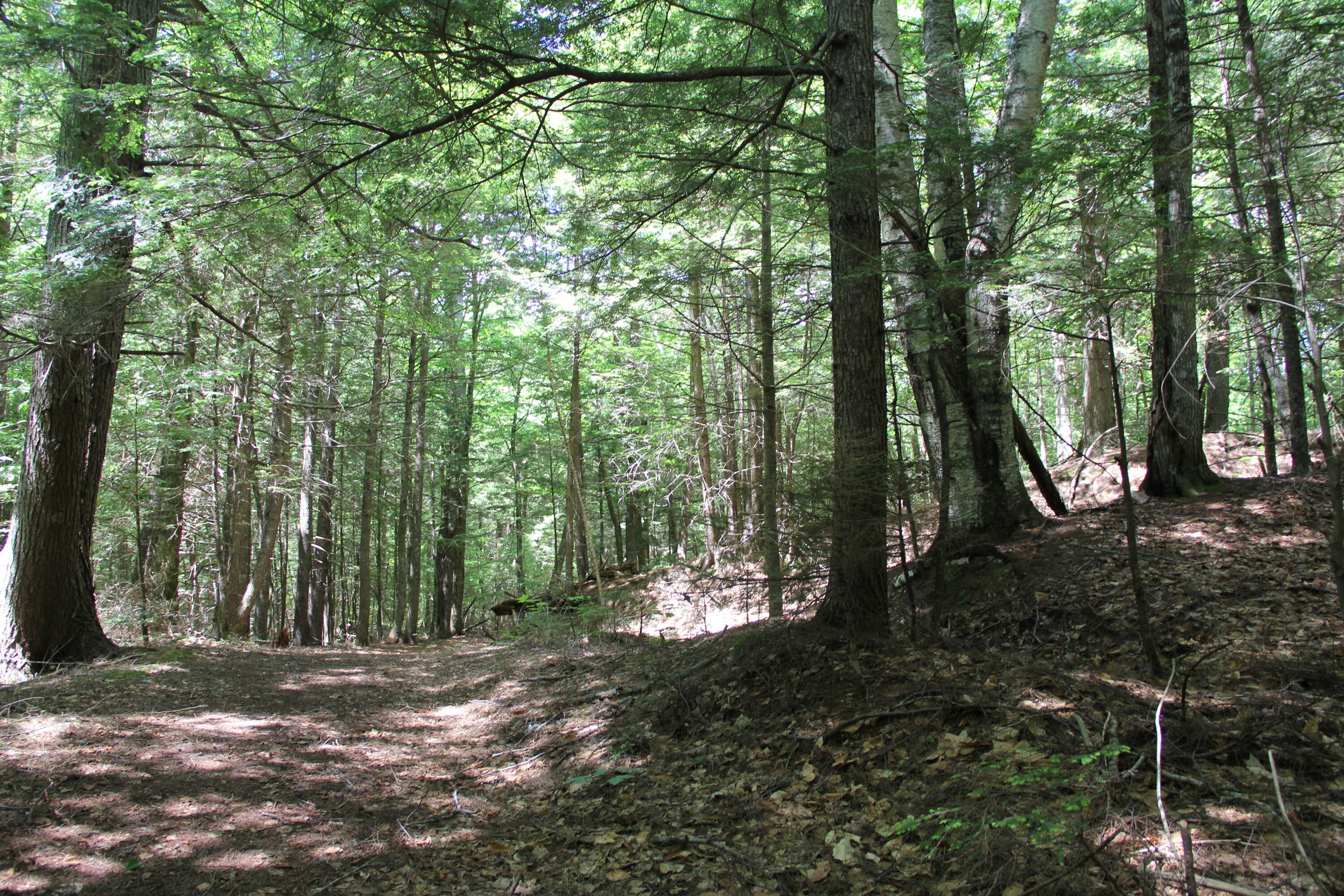 Lot 41 Salmon Road