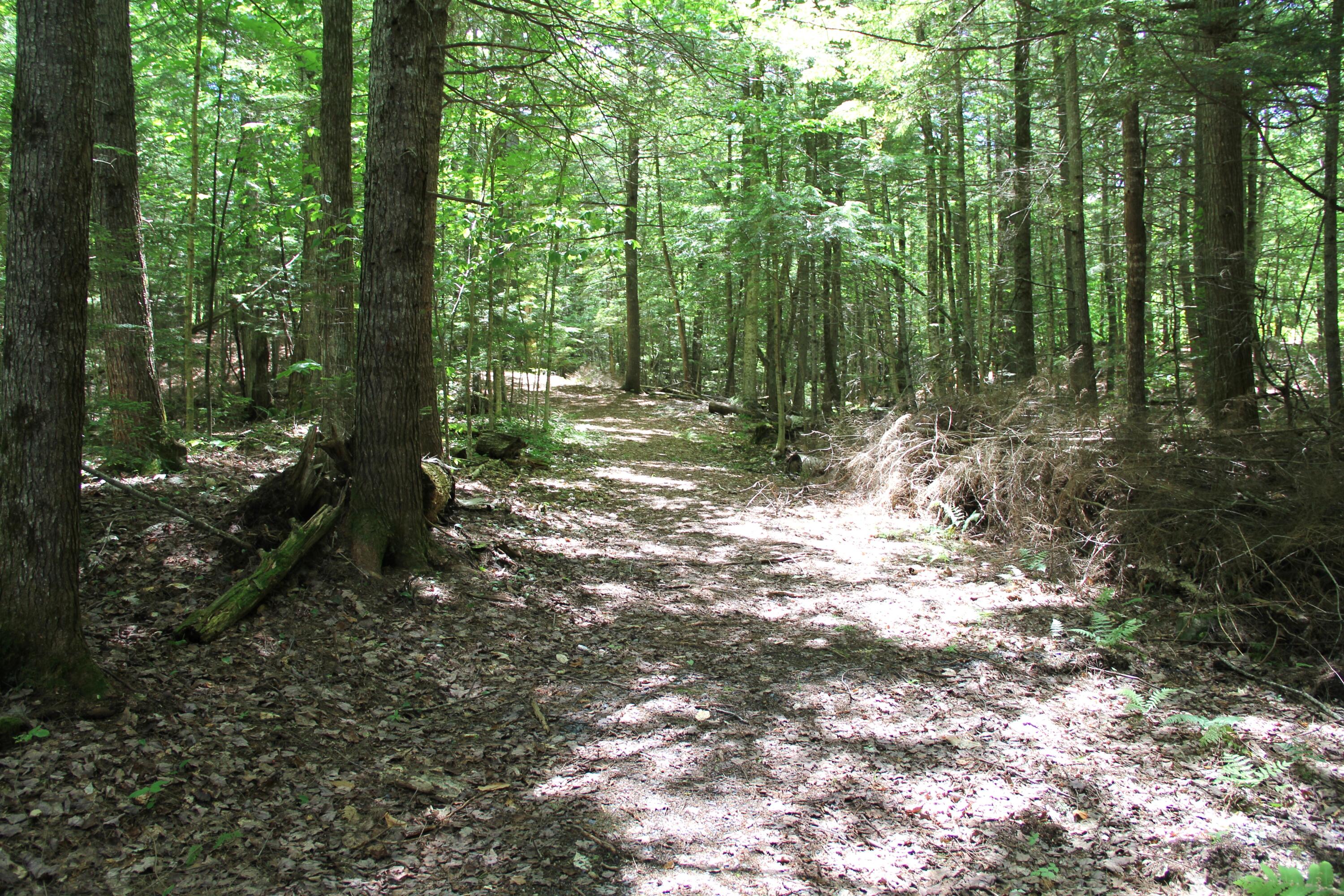 Lot 41 Salmon Road