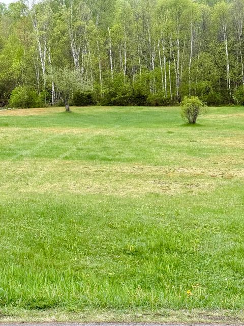 Photo of 0 Albert Street, Madawaska, ME 04756 (MLS # 1667738)