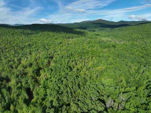 Photo of Map 10 Lot 1 Dow Brook Road, Peru, ME 04290 (MLS # 1667603)