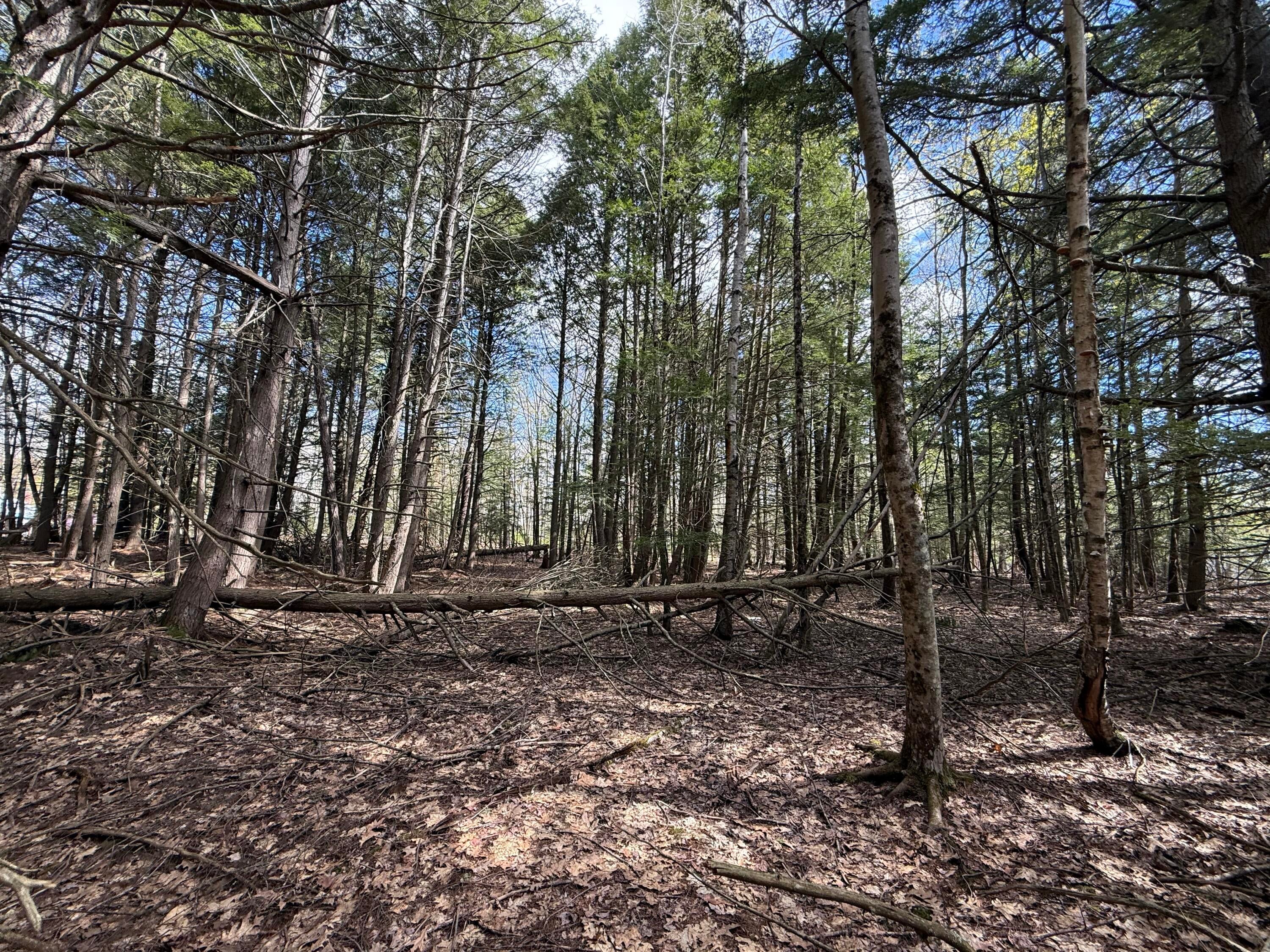 Lot # 8E01 Lord Road