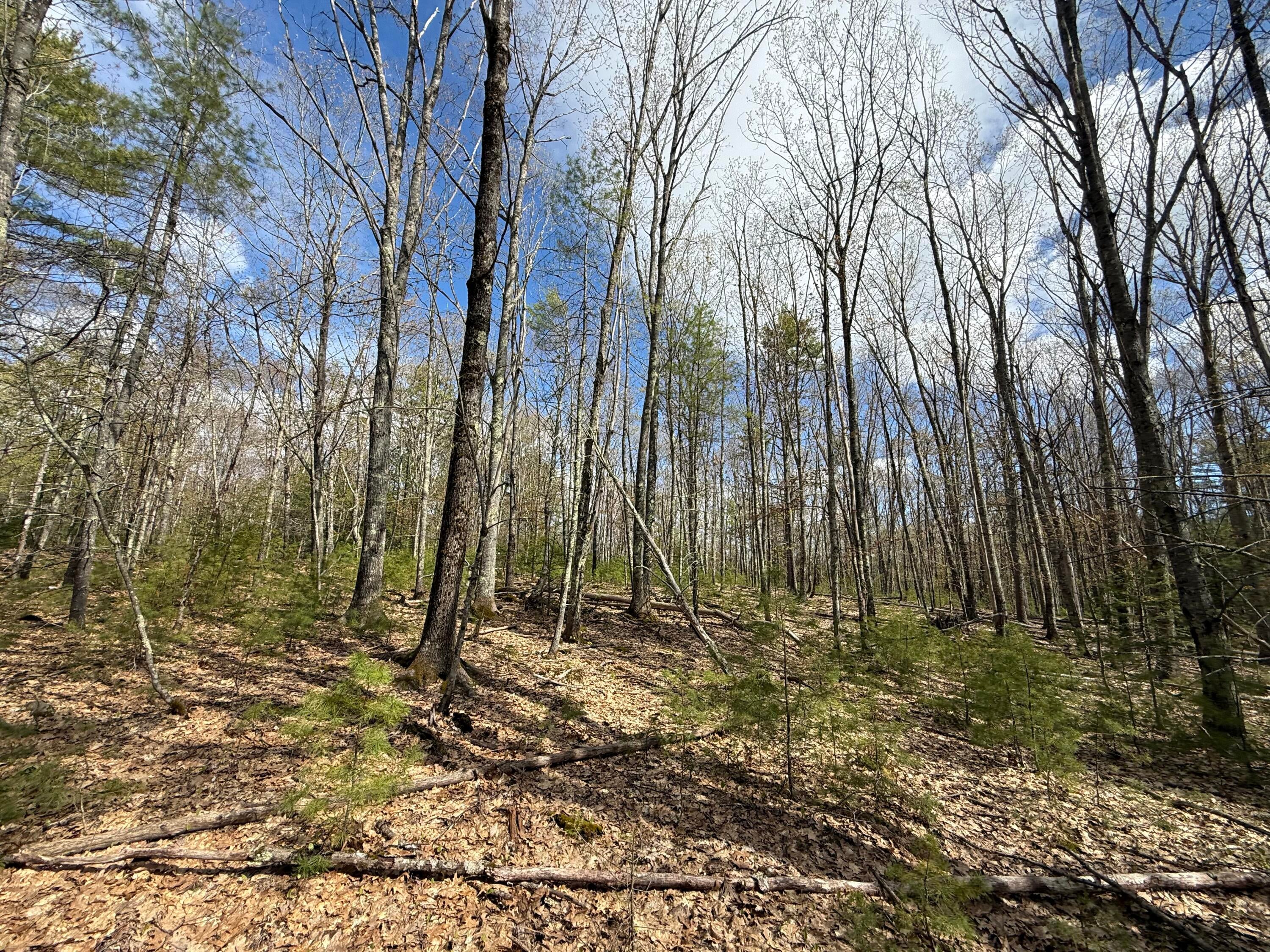 Lot # 8E01 Lord Road
