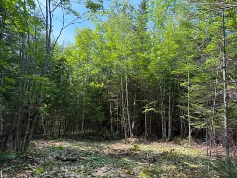 Photo of Lot 5 Holley Road, Farmington, ME 04938 (MLS # 1670894)