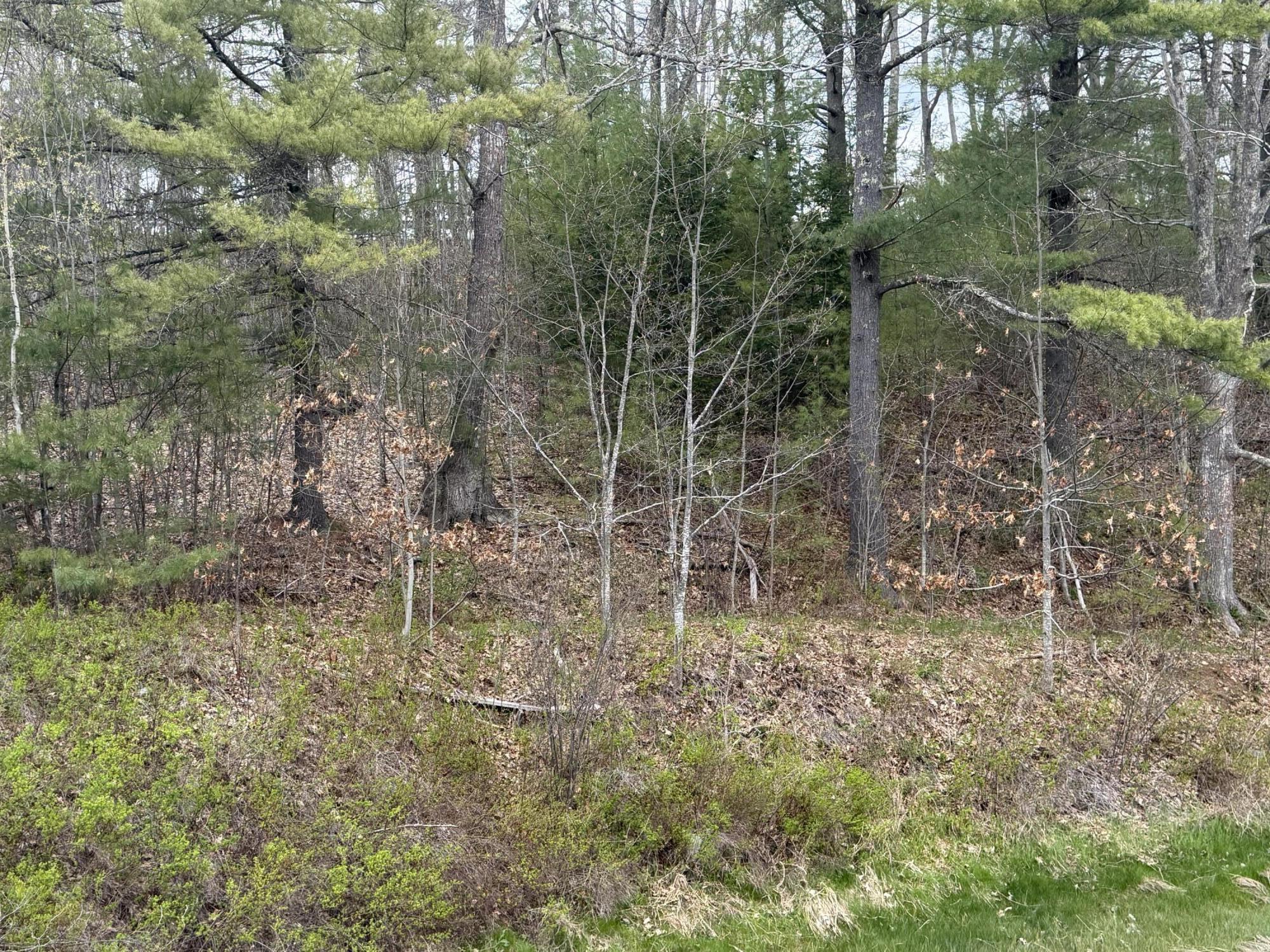Lot R05129 Polly Clark Brook