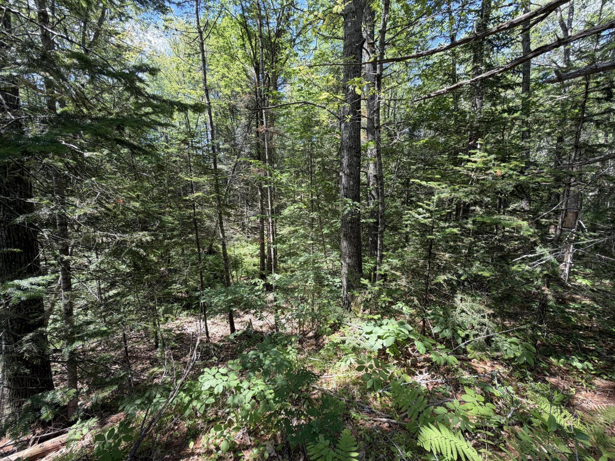 Lot R05129 Polly Clark Brook