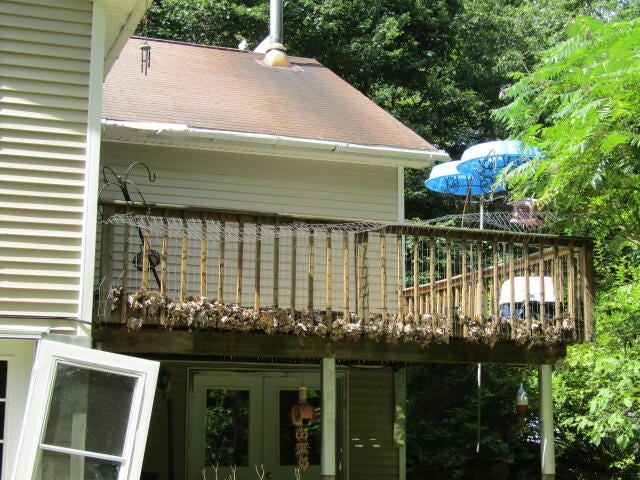 22 Shamrock Lane