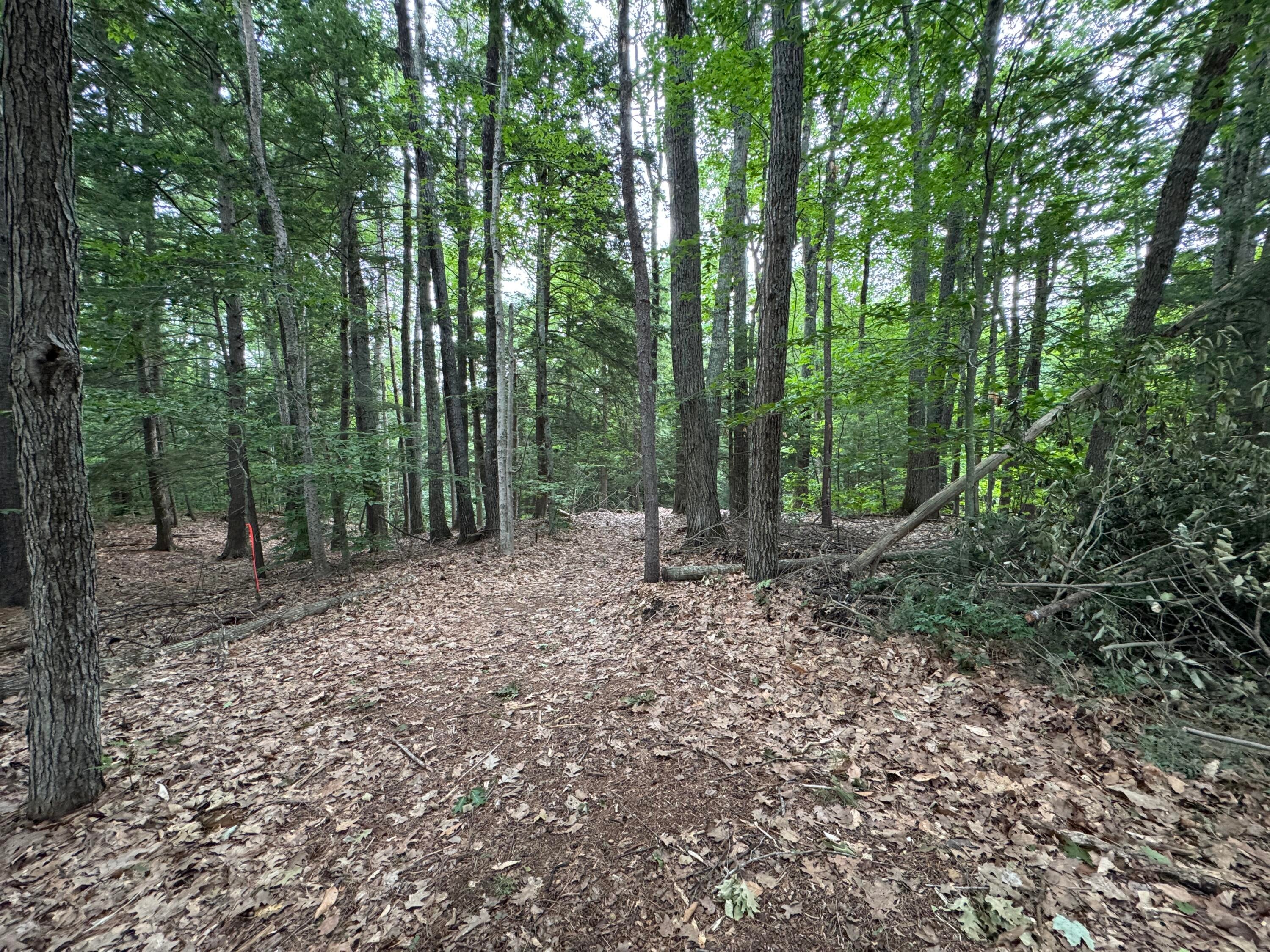 Lot # 18-1 Sanborn Street