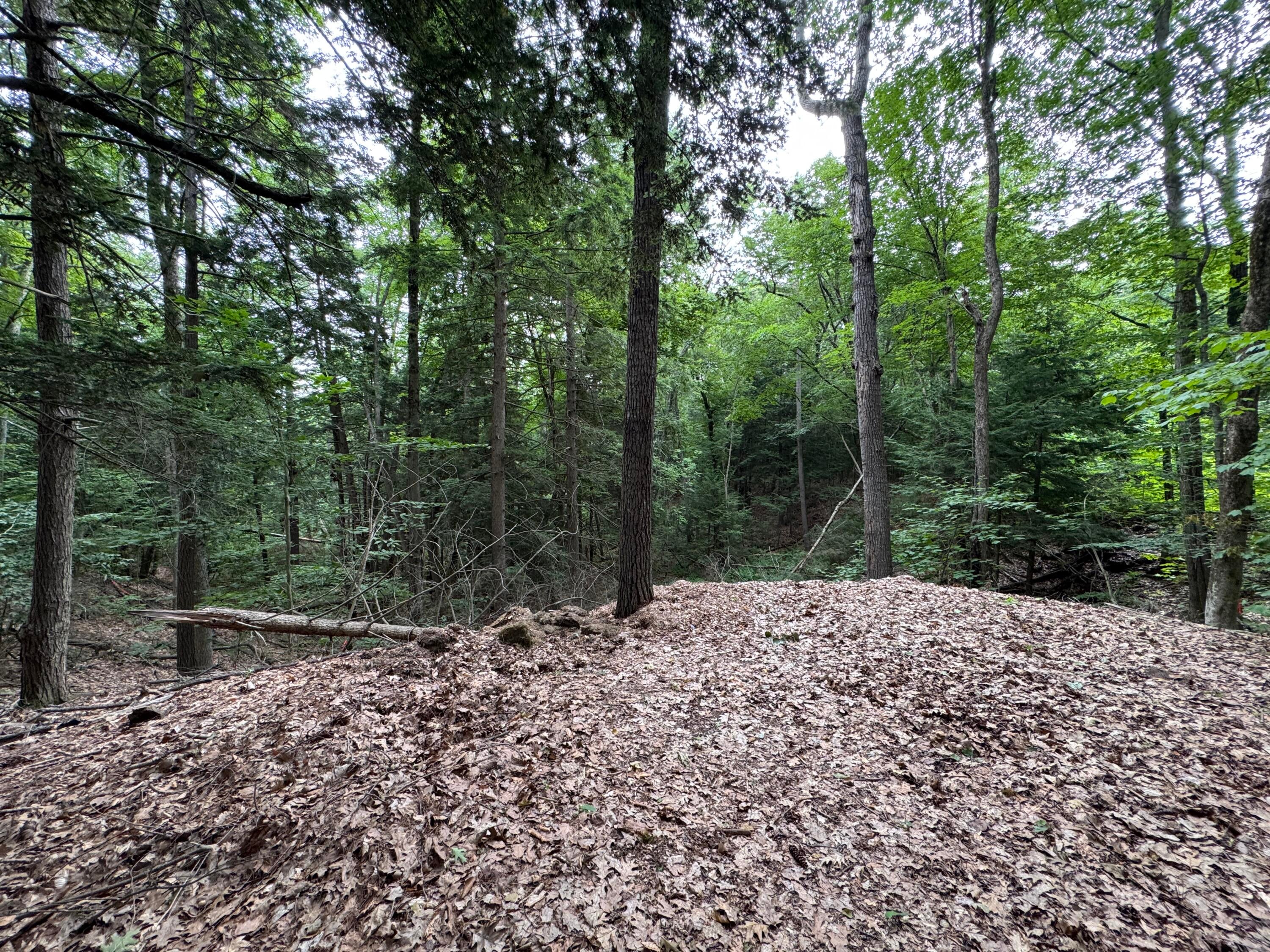 Lot # 18-1 Sanborn Street