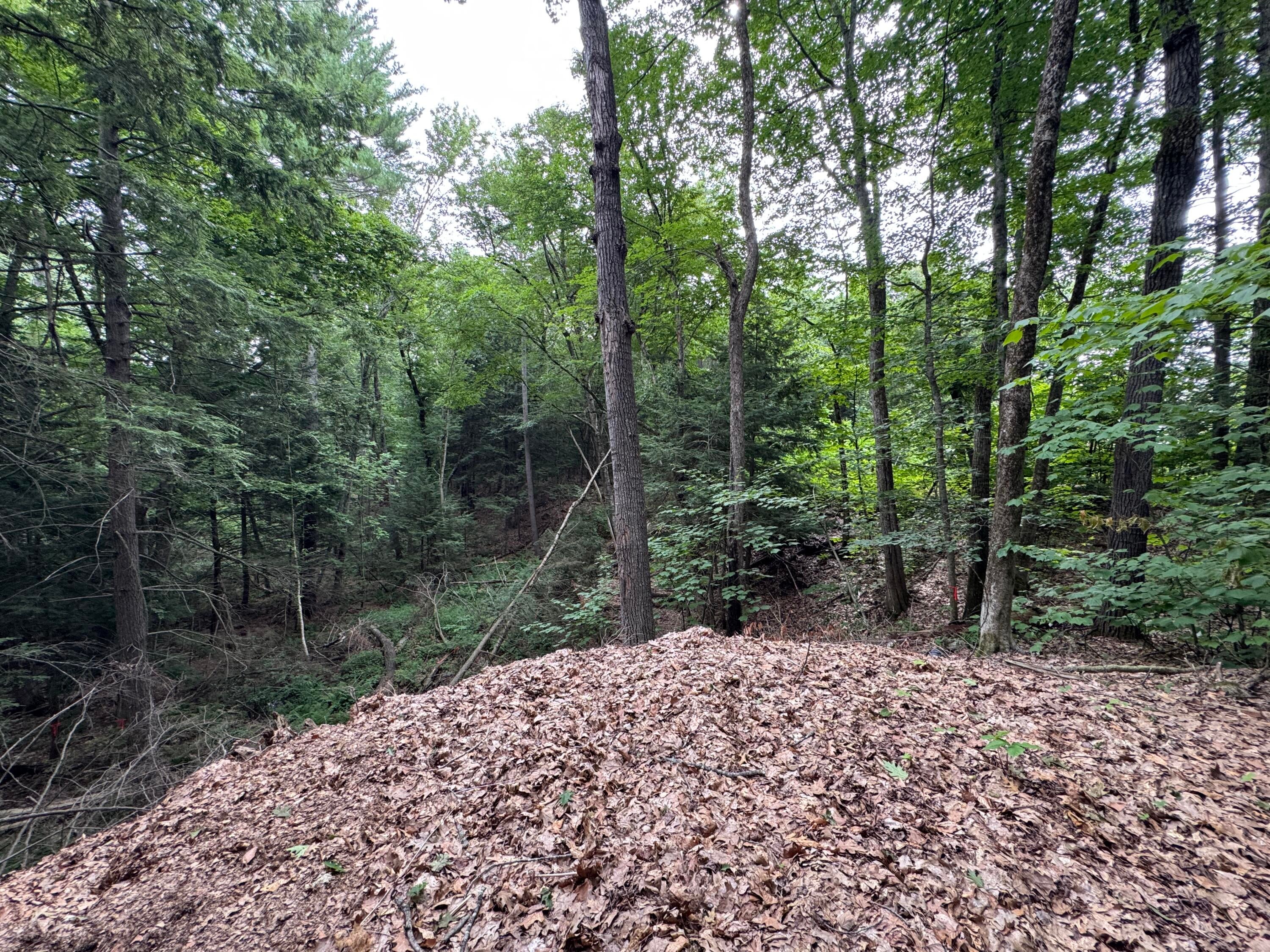 Lot # 18-1 Sanborn Street