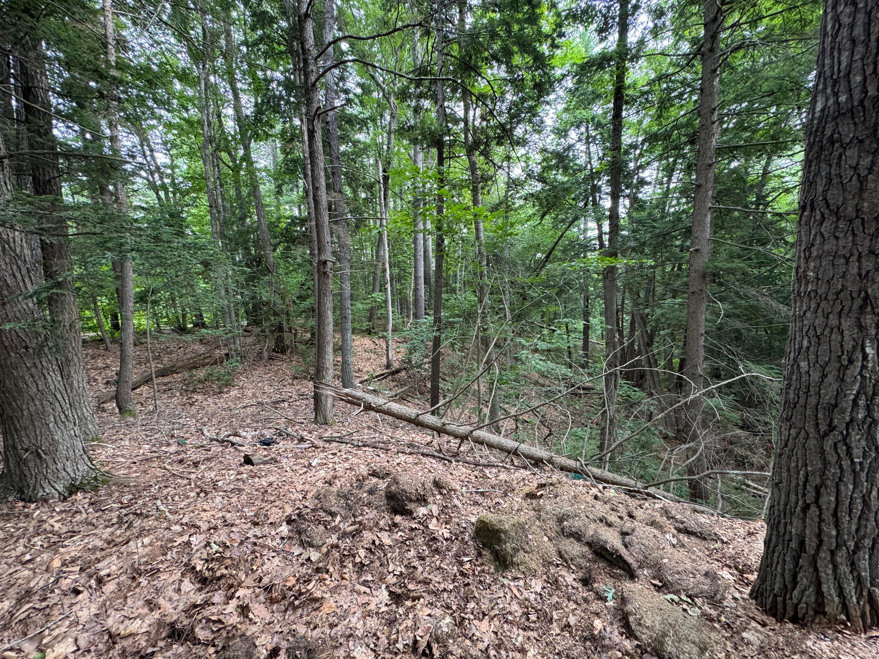 Lot # 18-1 Sanborn Street