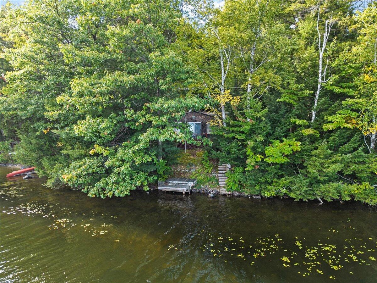 49 Pinehaven Drive