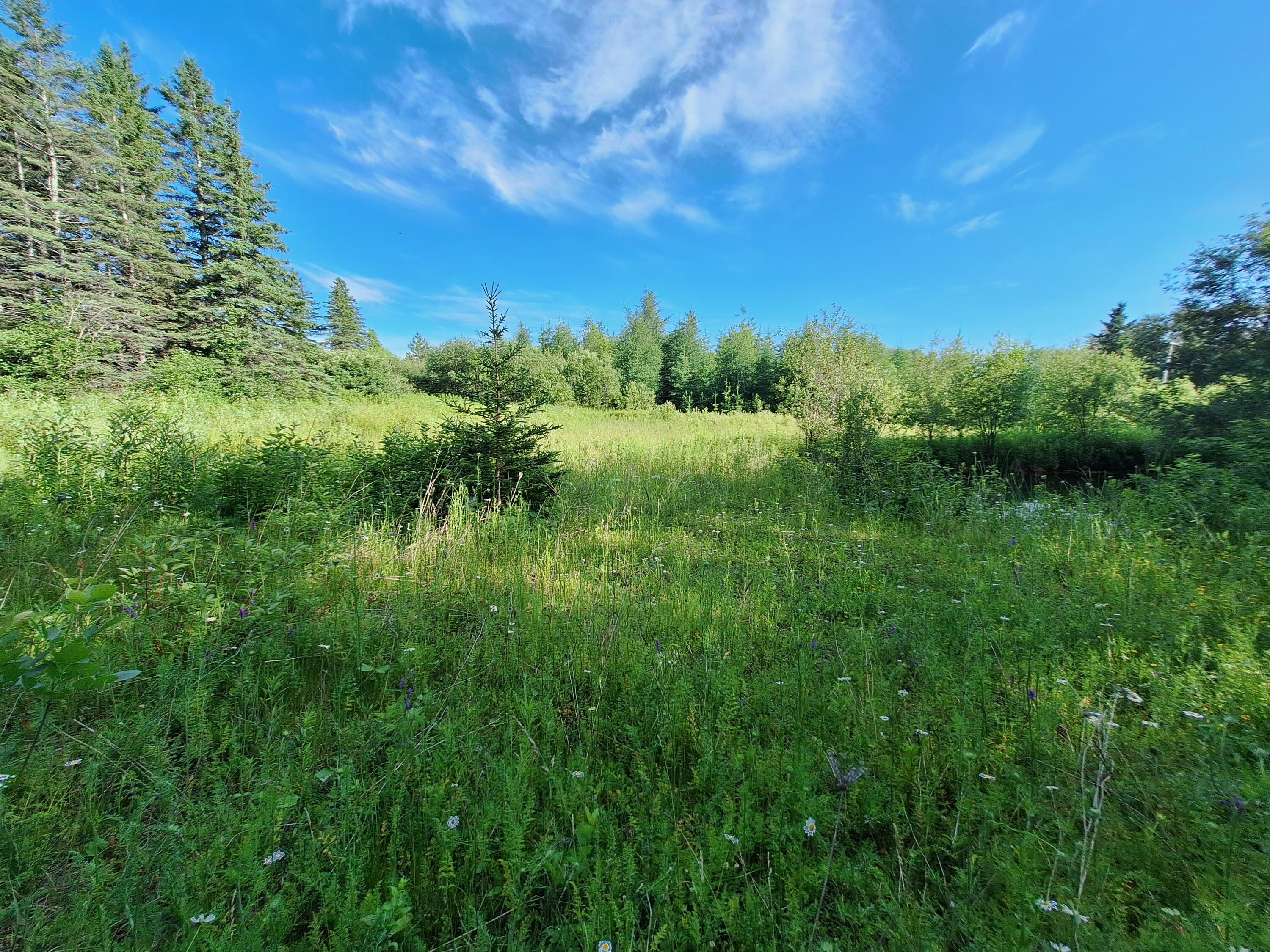 Lot 36-D Grimes Road