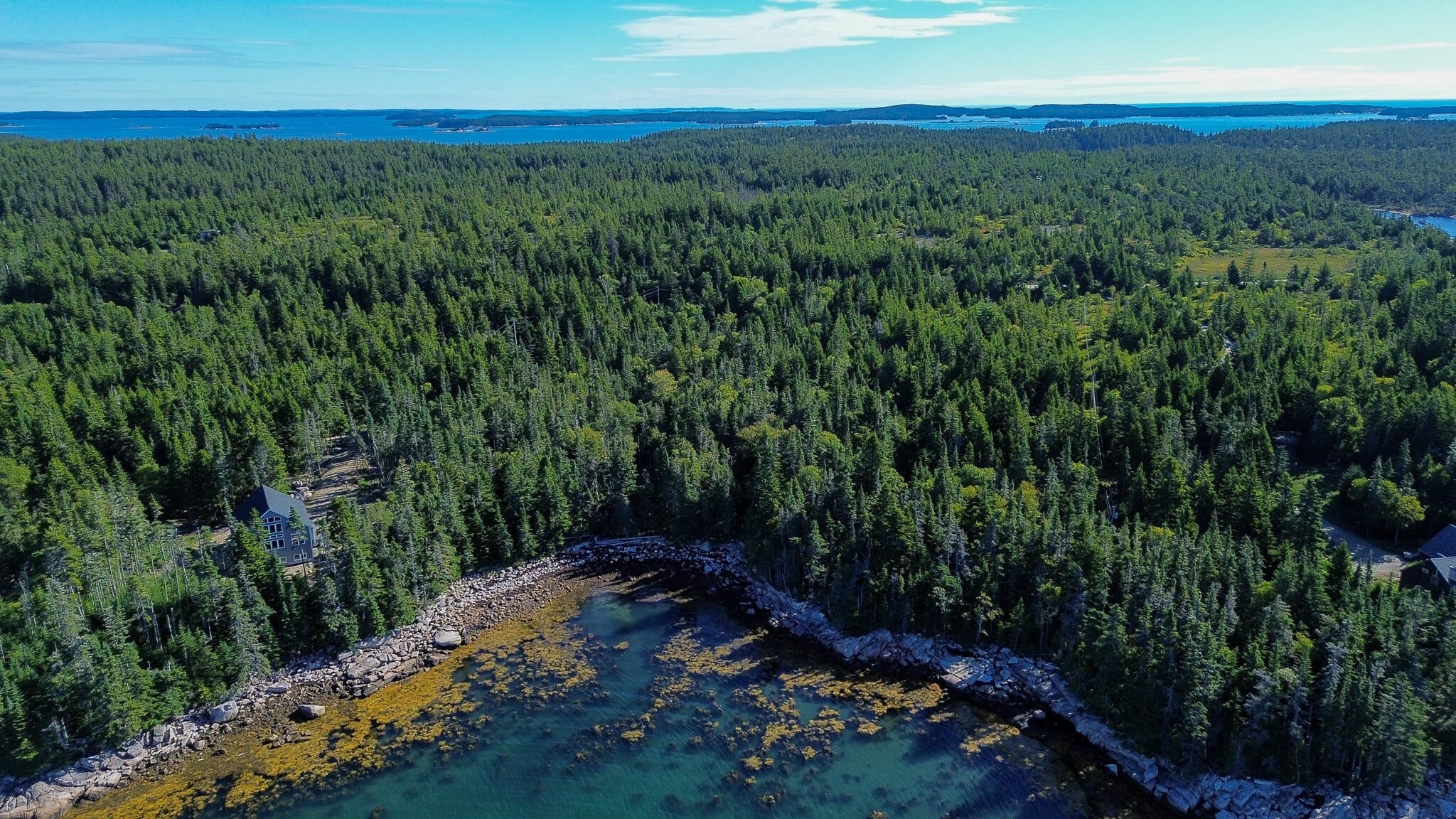 463 Black Duck Cove Road