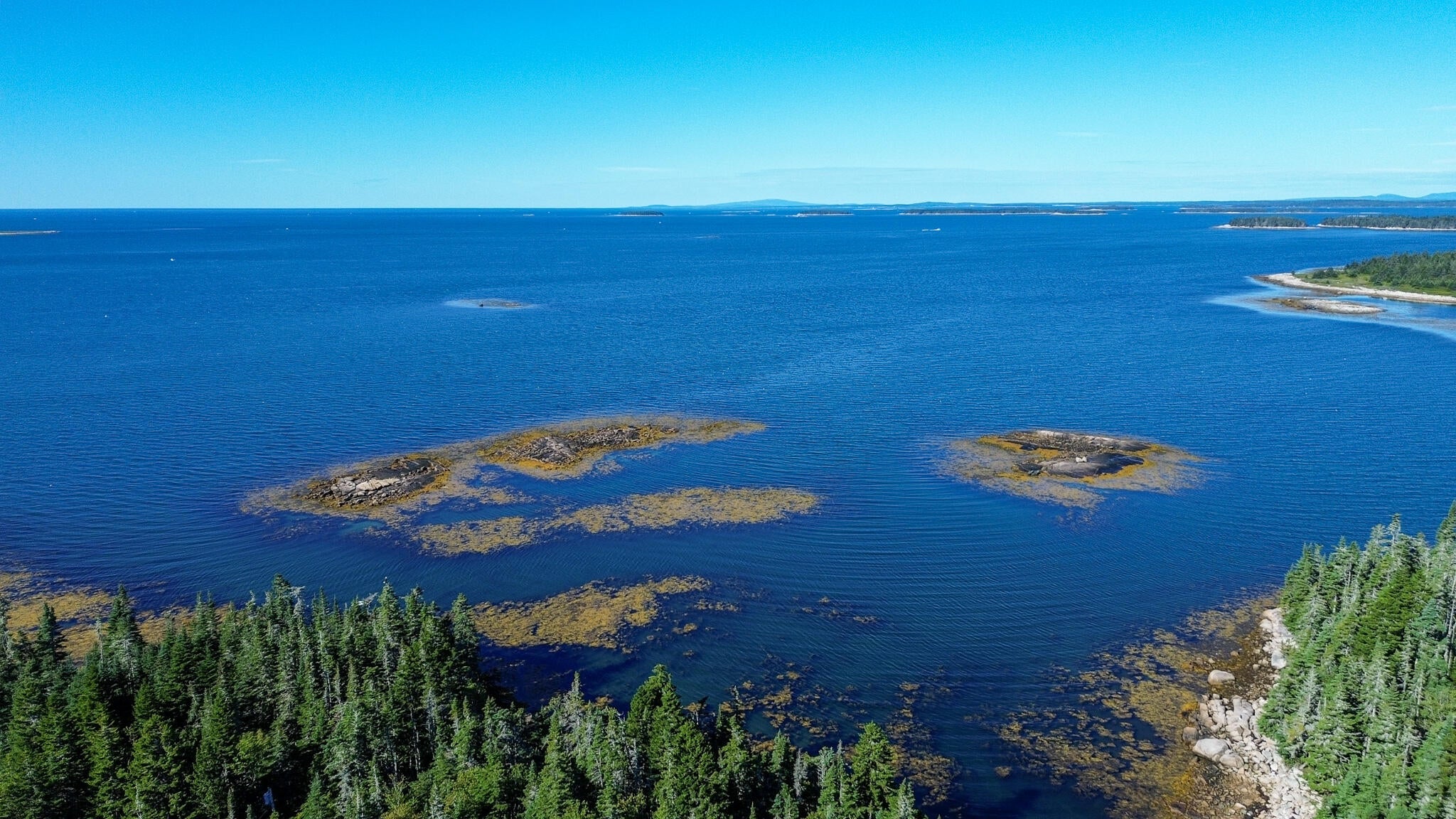 463 Black Duck Cove Road