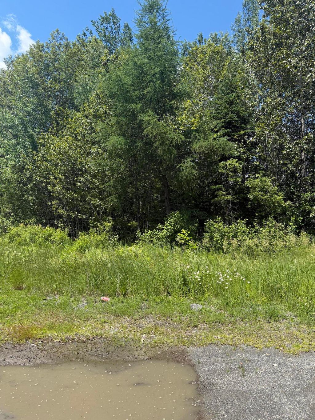 Photo of M10L18-9 Milo/Hughes Road, Sebec, ME 04481 (MLS # 1669348)