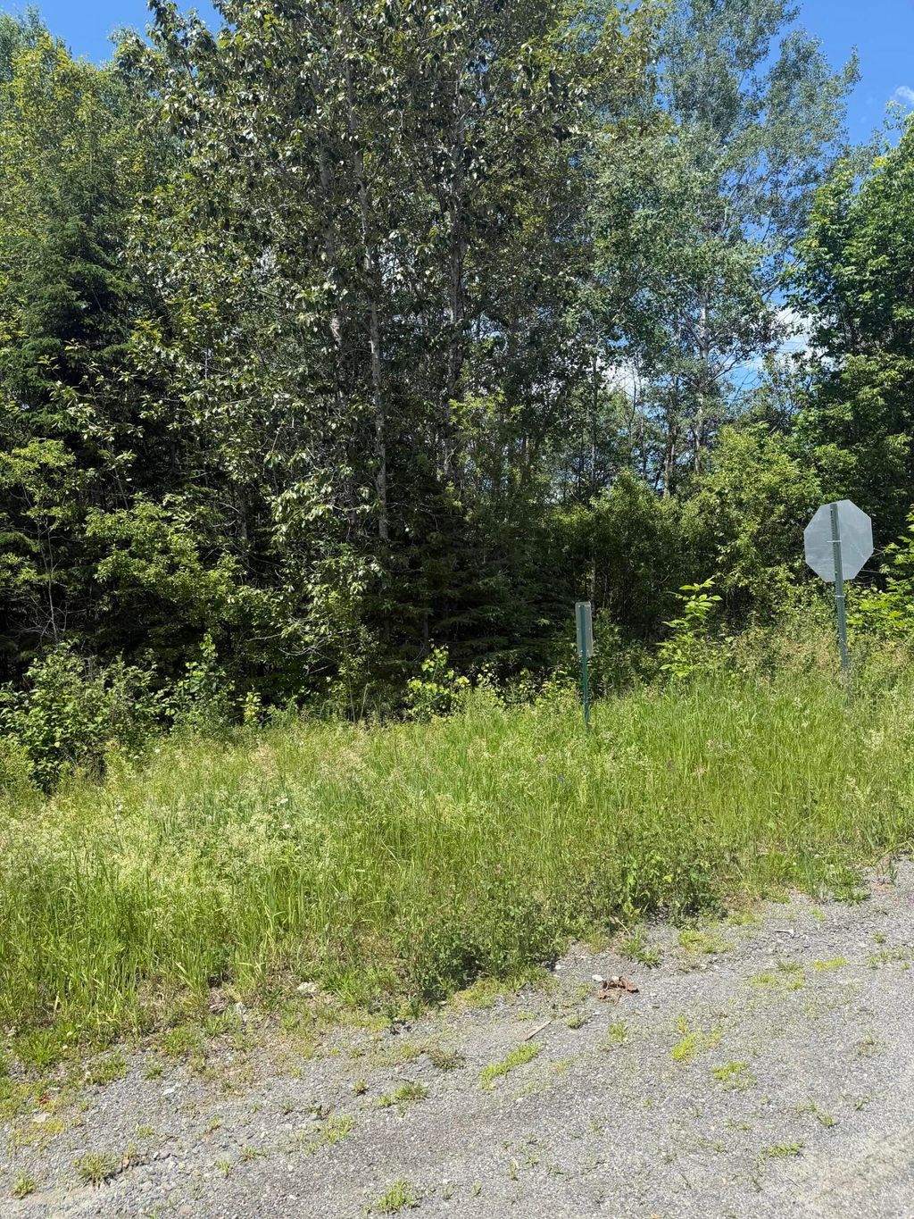 Photo of M10L18-9 Milo/Hughes Road, Sebec, ME 04481 (MLS # 1669348)