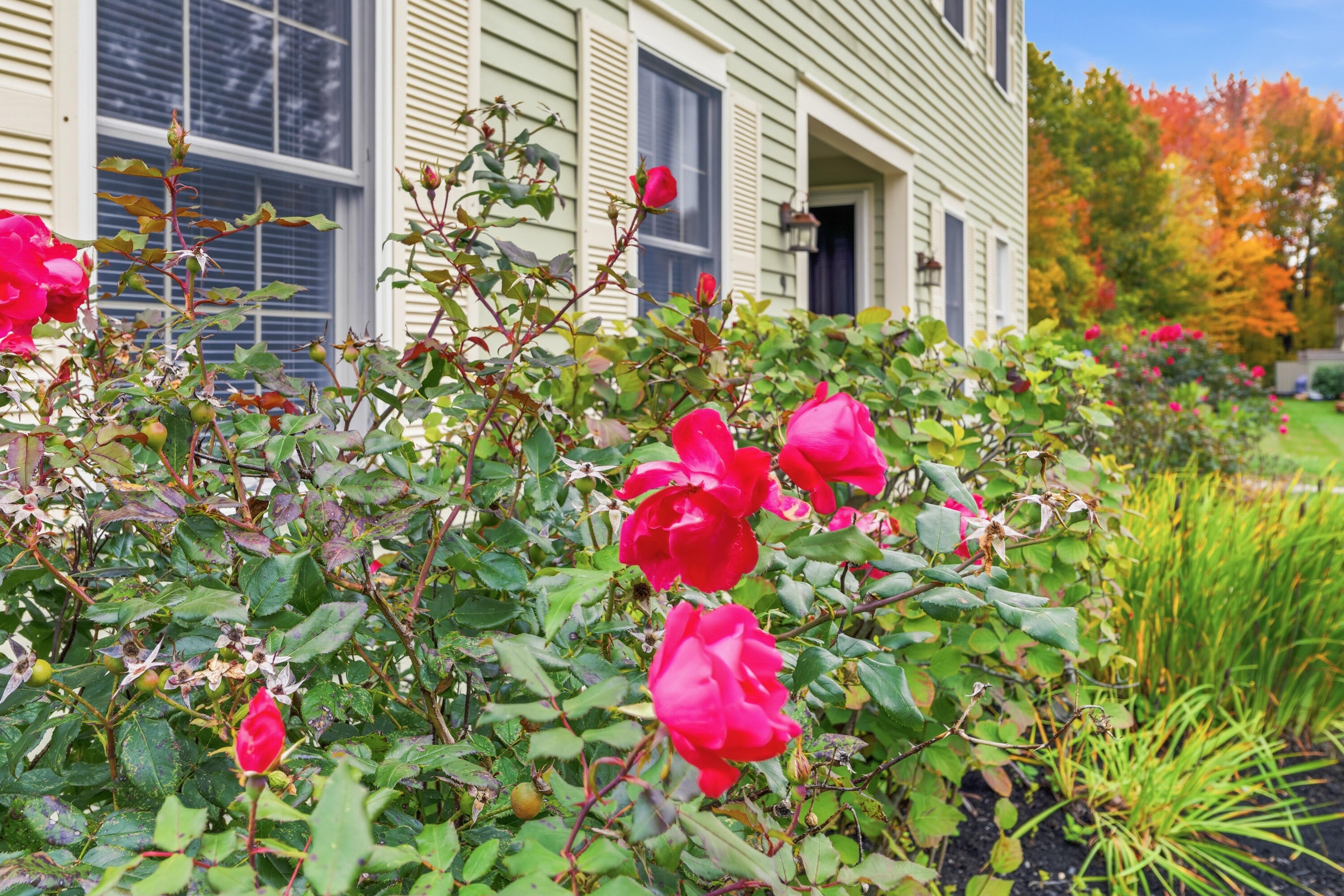 49 Blacksmith Road 9