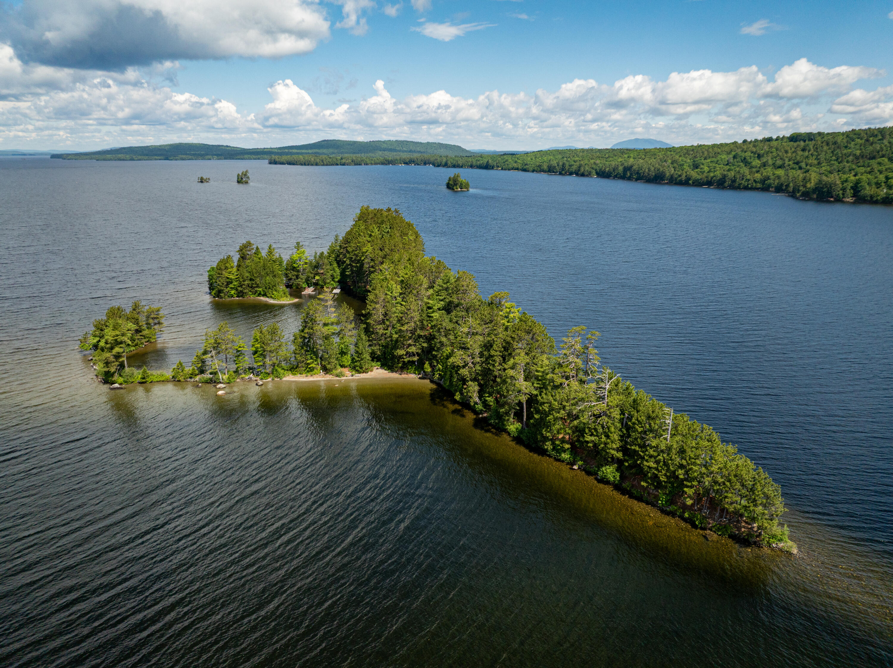 #36 Snake Island