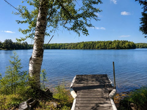 Photo of 799 Upper Dobsis Road, Lakeville, ME 04487 (MLS # 1668010)