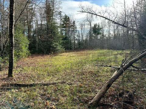 Photo of Map 8 Lot 12 Crane Bridge Road, Monroe, ME 04951 (MLS # 1666432)