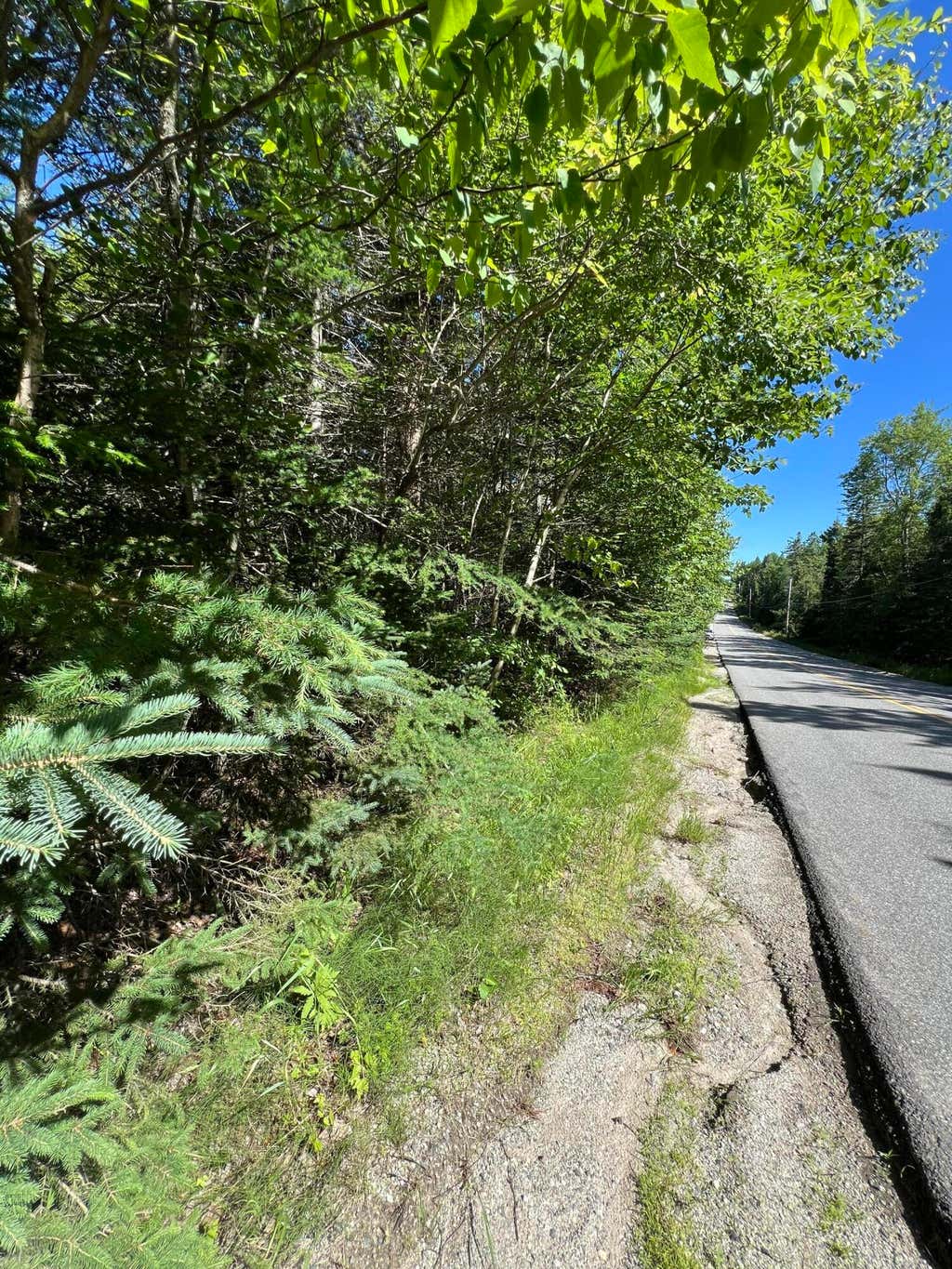 Photo of M34, L40 Hinckley Ridge Road, Blue Hill, ME 04614 (MLS # 1663498)