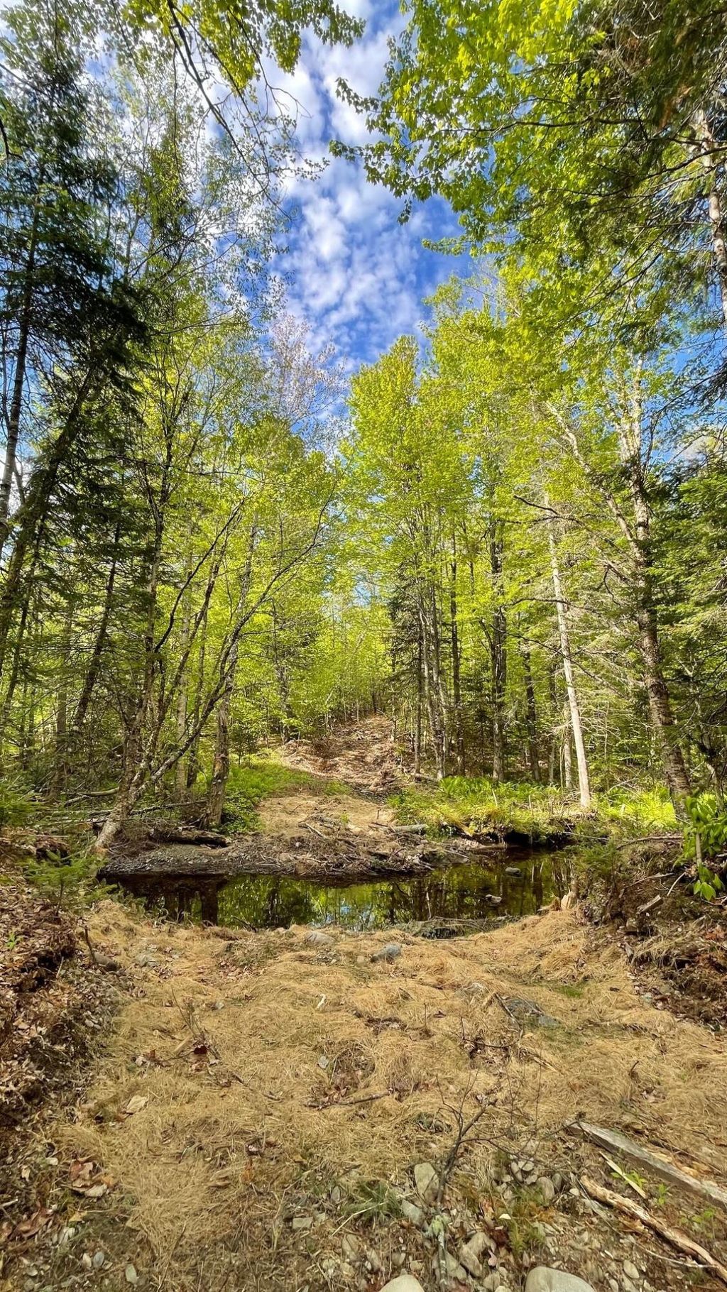 Photo of 339 Long Pond Road, Jackman, ME 04945 (MLS # 1659374)
