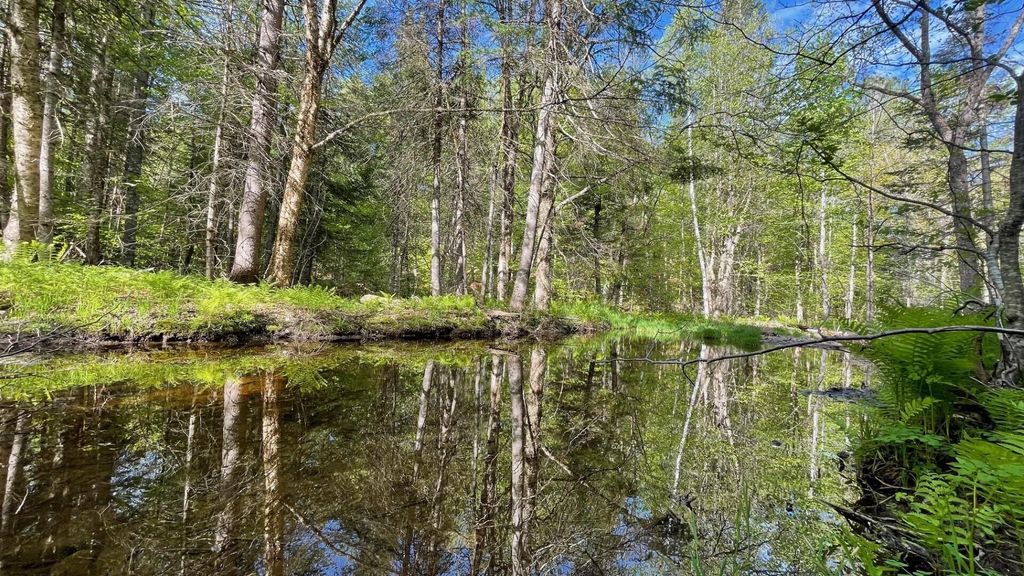 Photo of 339 Long Pond Road, Jackman, ME 04945 (MLS # 1659374)