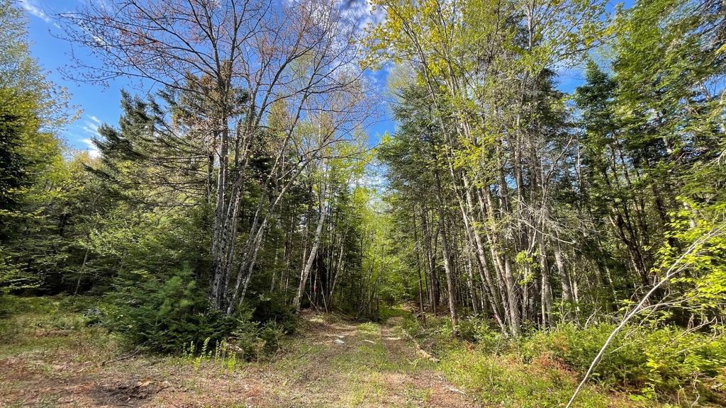 Photo of 339 Long Pond Road, Jackman, ME 04945 (MLS # 1659374)