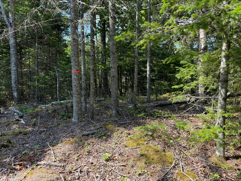 Photo of M6L21 Great Cove Road, Roque Bluffs, ME 04654 (MLS # 1670230)