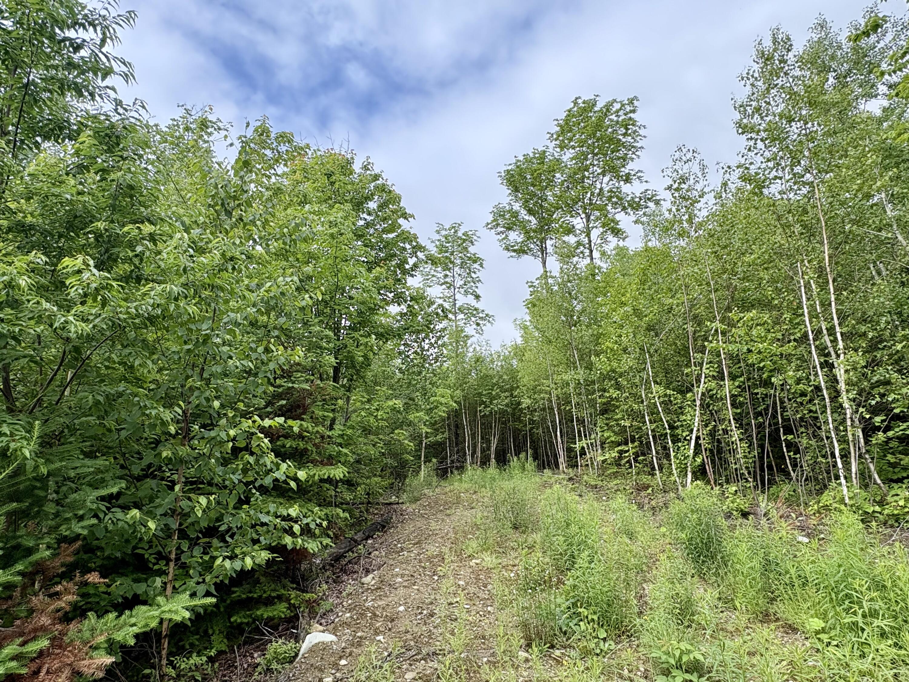 Lot 5 Mt. Jefferson Heights