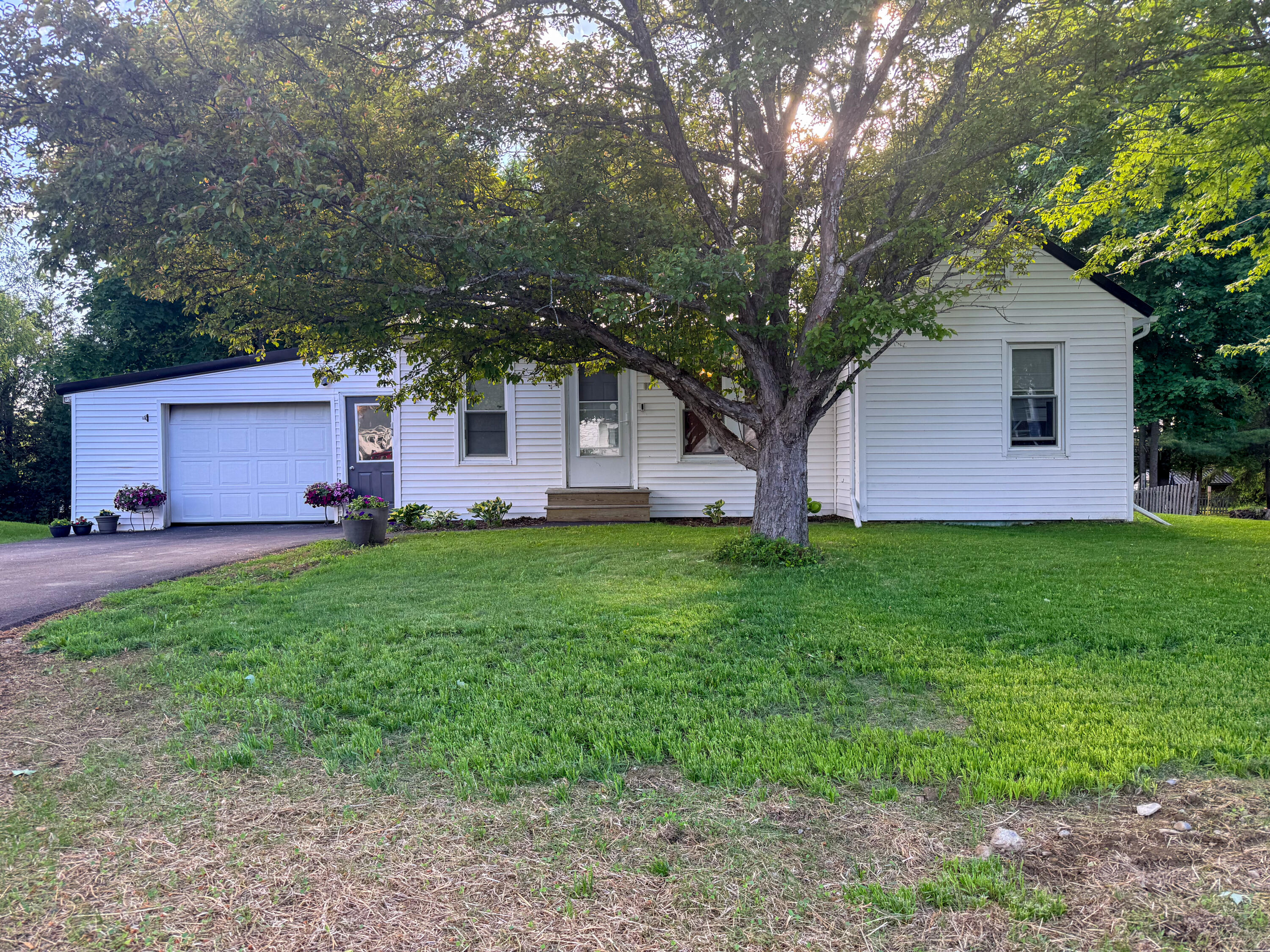 12 Winchester Street
