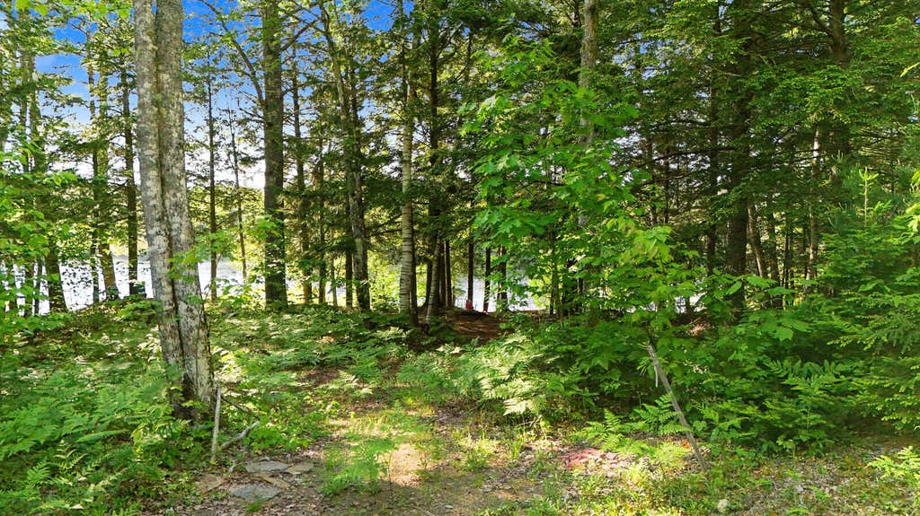 Photo of 290 Beaver Ridge Road, Palermo, ME 04354 (MLS # 1663286)