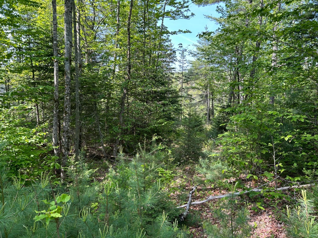 Photo of M5L13 Clark Road, Prospect, ME 04981 (MLS # 1666601)