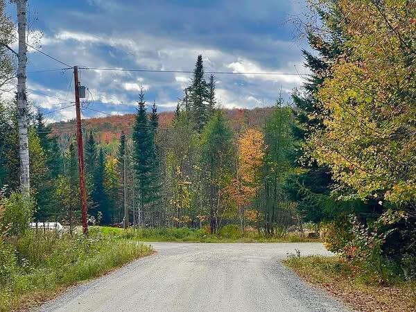 Lot 12 Doe Path