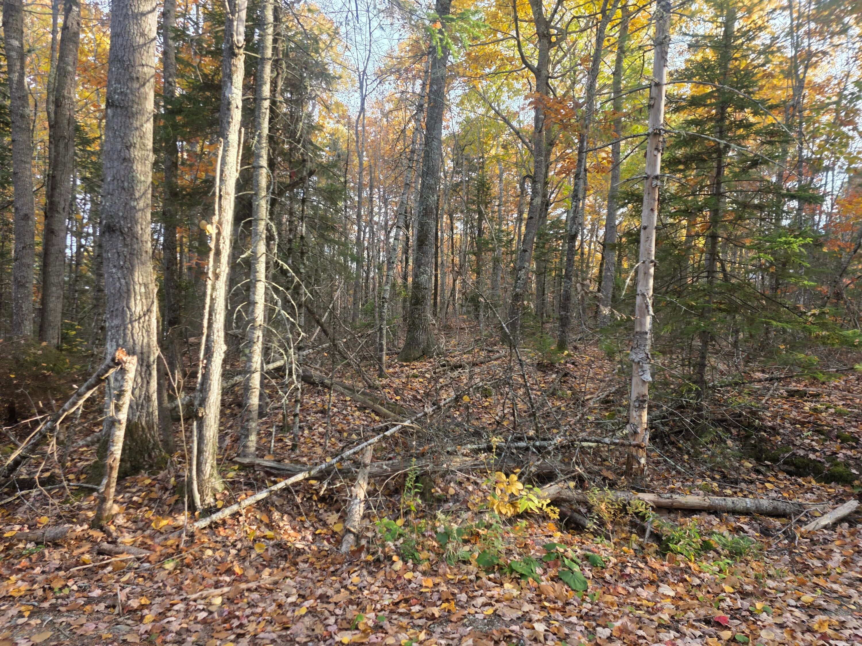 Lot 2 W Cider Mill Lane