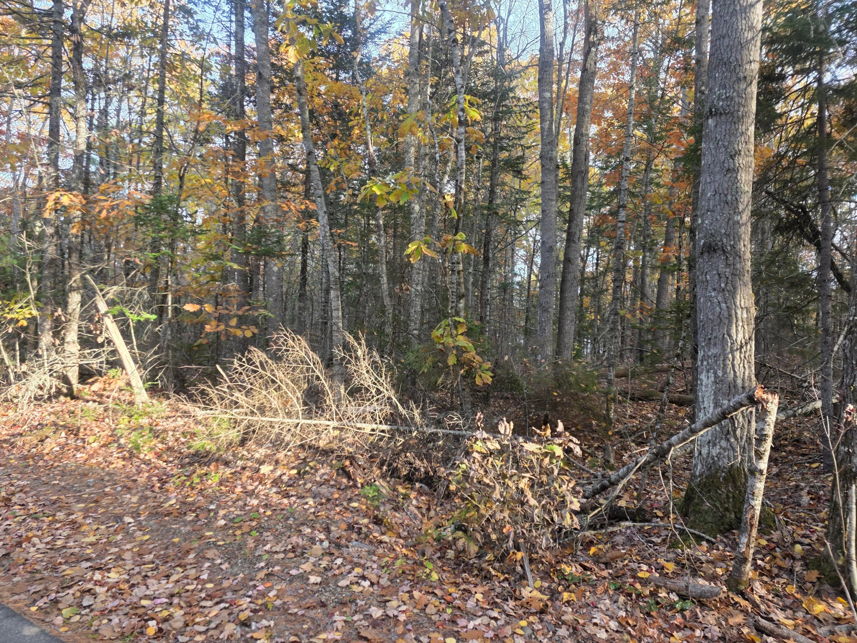 Lot 2 W Cider Mill Lane