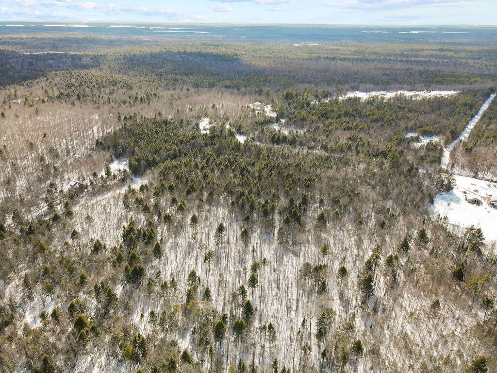 Photo of Lot 39 Dolliff Road, Alton, ME 04468 (MLS # 1658415)