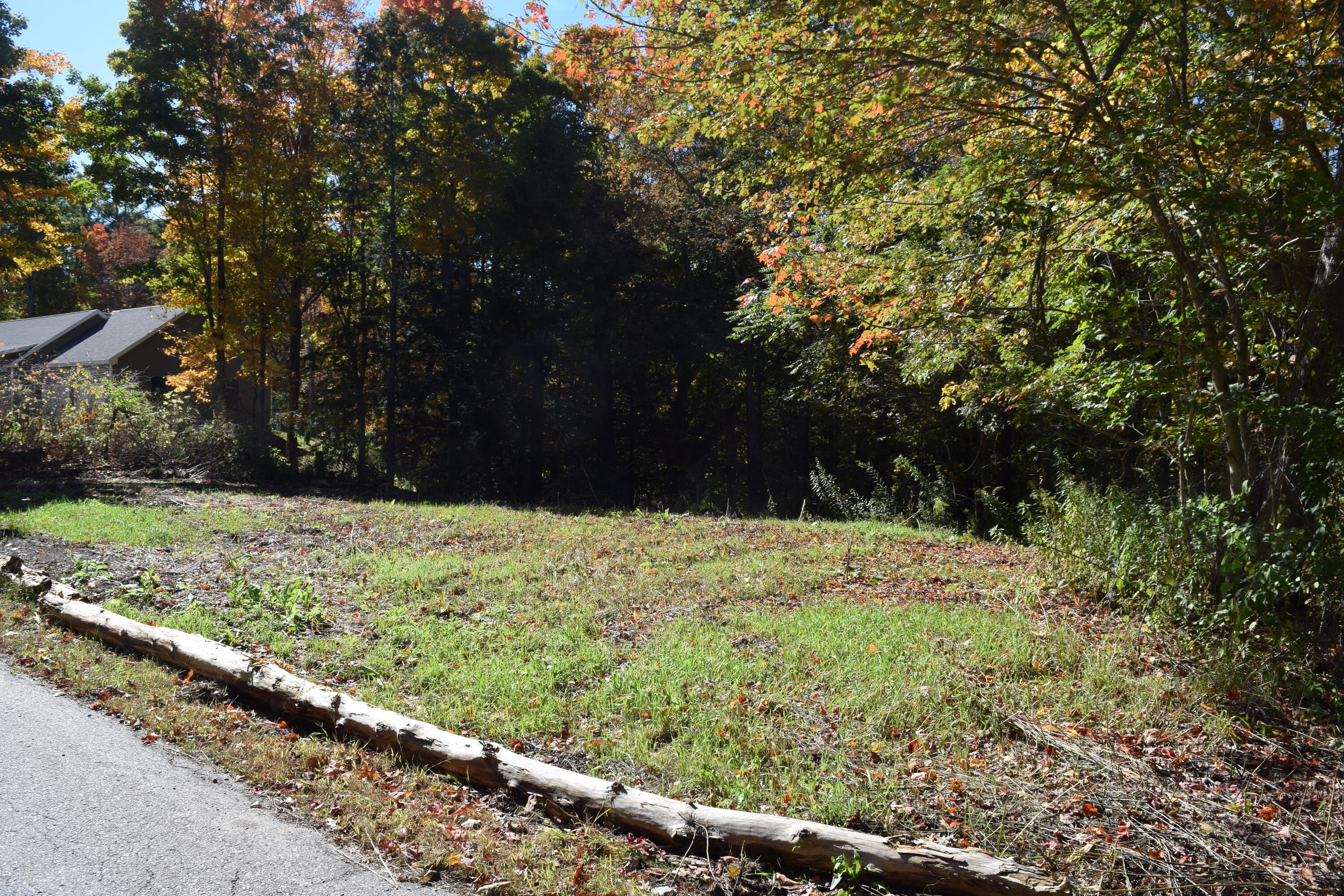 Lot #4B Coombs Road